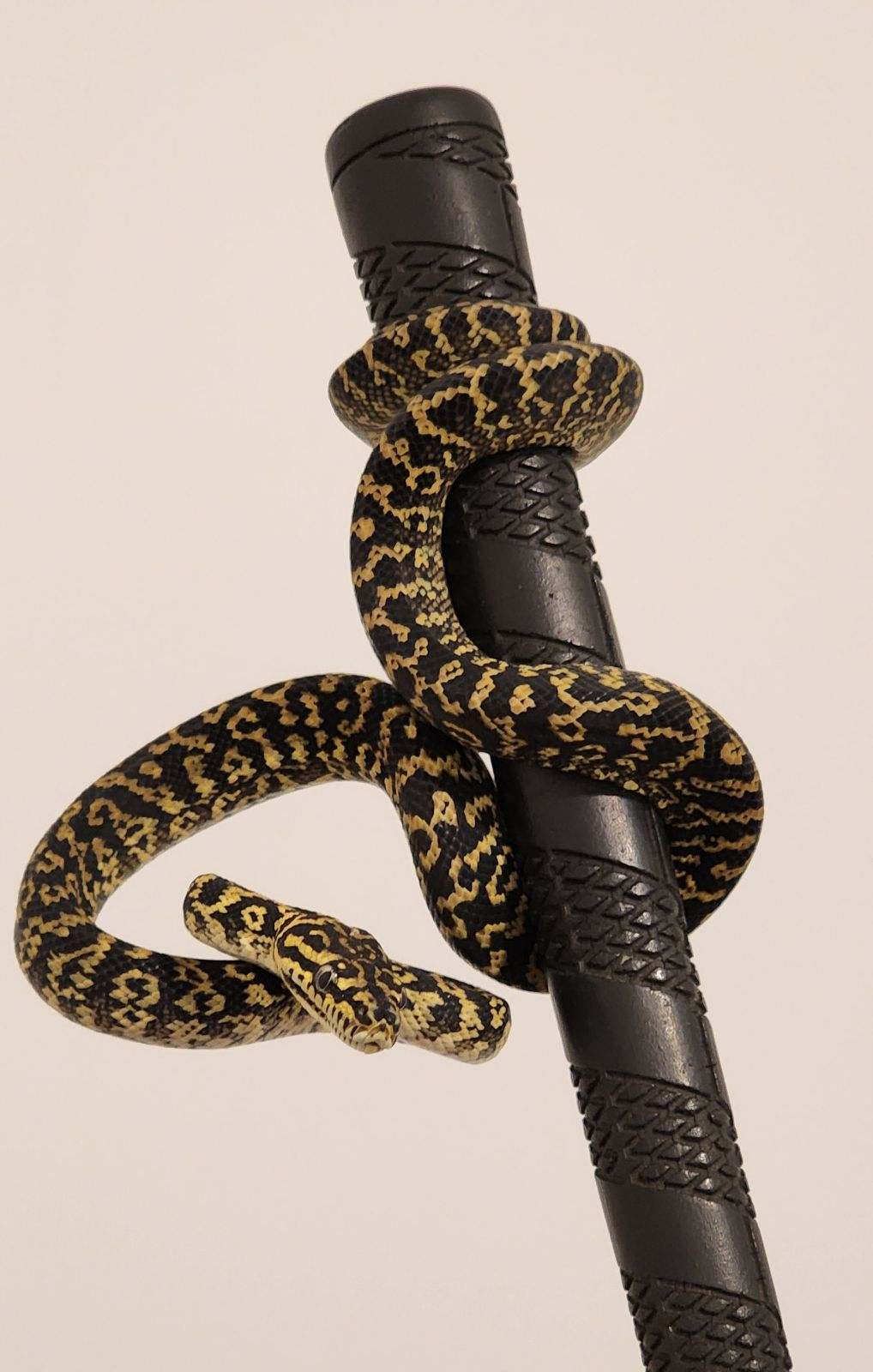 Carpet python
